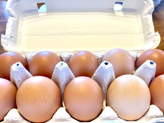 賞味期限が切れたけど食べても大丈夫？平飼い養鶏家が教える卵の賞味期限について - 素ヱコ農園(スエコノウエン）平飼い卵の通販