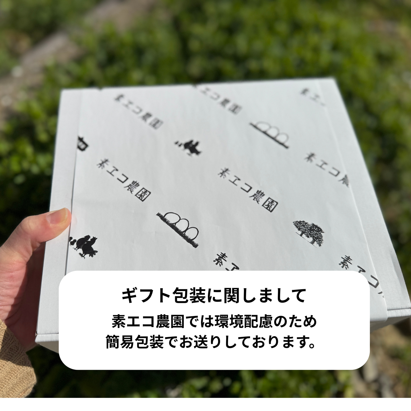【期間限定】プリン6個セット(チョコ、オーツ、ソイ) ※送料無料