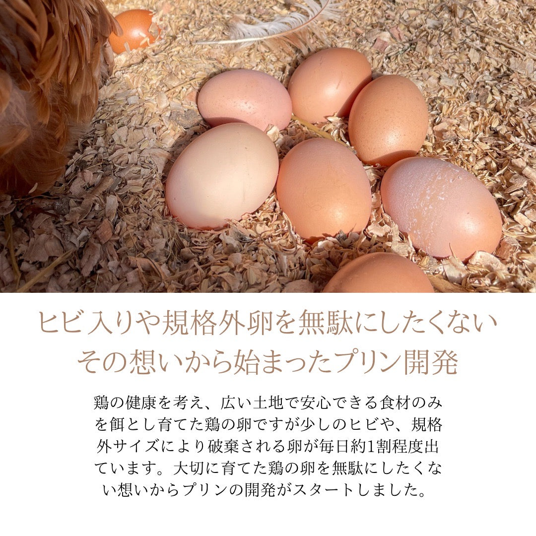 牛乳を使わない優しいプリン(オーツミルク&ソイミルク計6個)