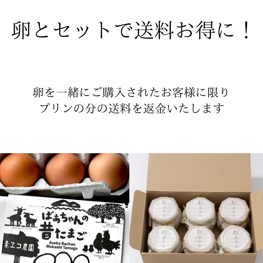 牛乳を使わない優しいプリン(オーツミルク&ソイミルク計6個)