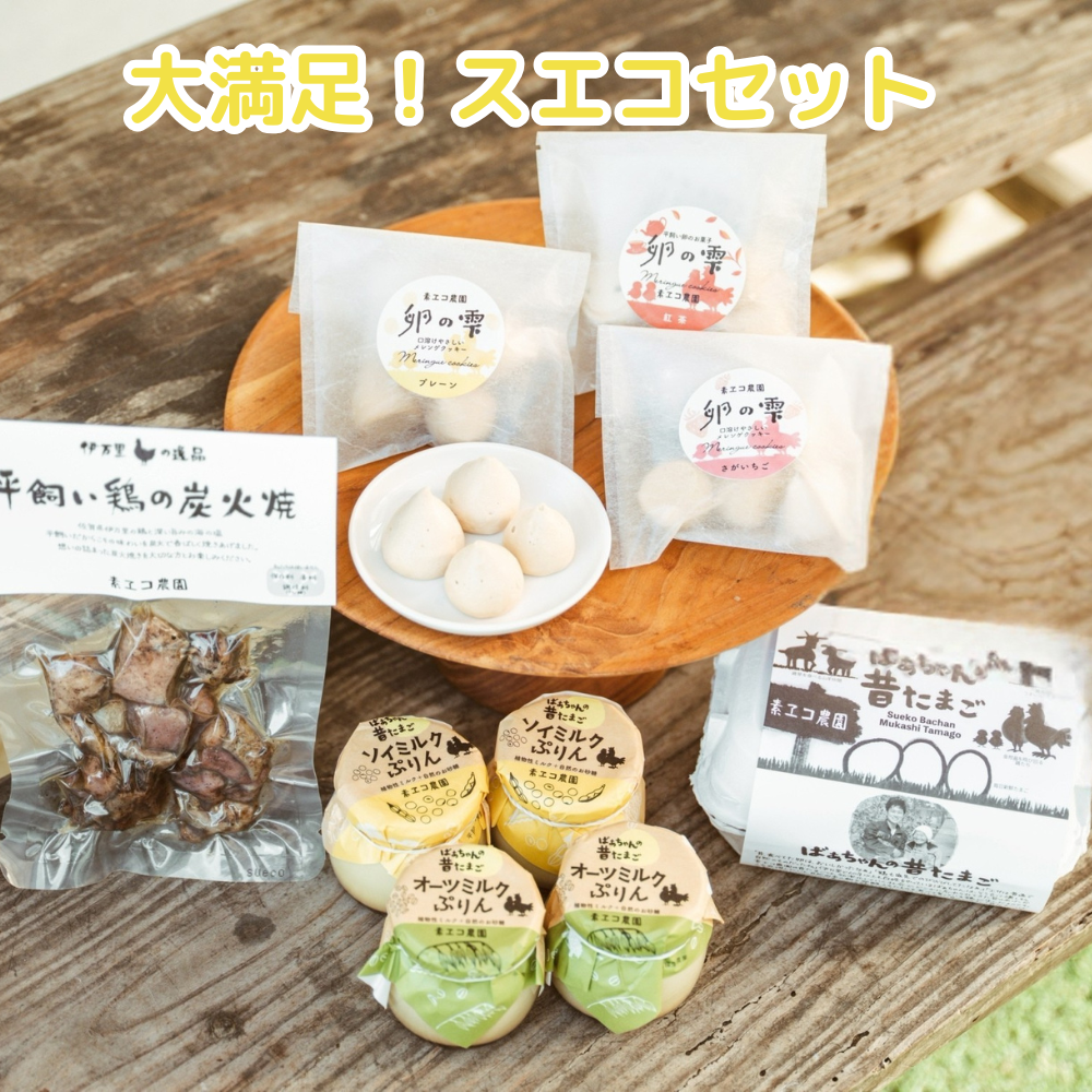 【数量限定】大満足!スエコセット(送料無料)