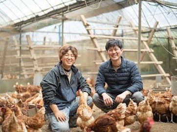 ばあちゃんの昔たまご 80個入り｜平飼い卵 - 素ヱコ農園(スエコノウエン）平飼い卵の通販