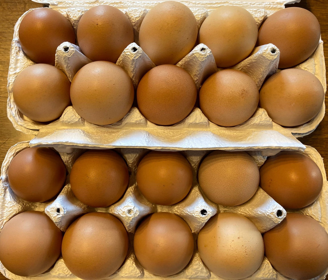卵の食中毒ってなに？平飼い養鶏家が教える卵の食中毒について〜 - 素ヱコ農園(スエコノウエン）平飼い卵の通販
