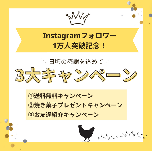 Instagramフォロワー1万人突破記念キャンペーン(クーポンコードあり)