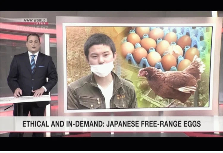 NHK WORLD-JAPANの番組で素ヱコ農園の平飼い養鶏が紹介された放送画面
