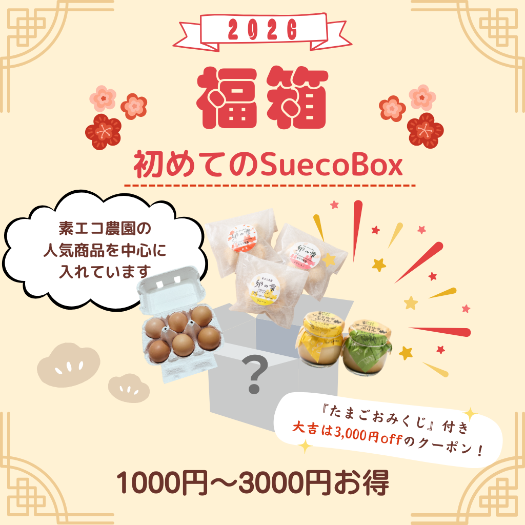 【福箱2026】初めてのsuecoBox