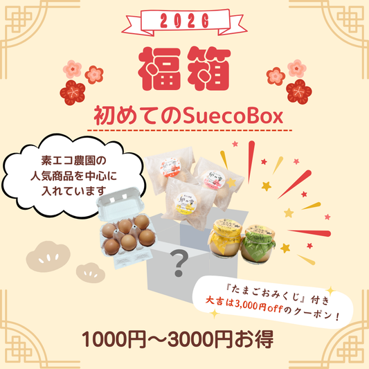 【福箱2026】初めてのsuecoBox