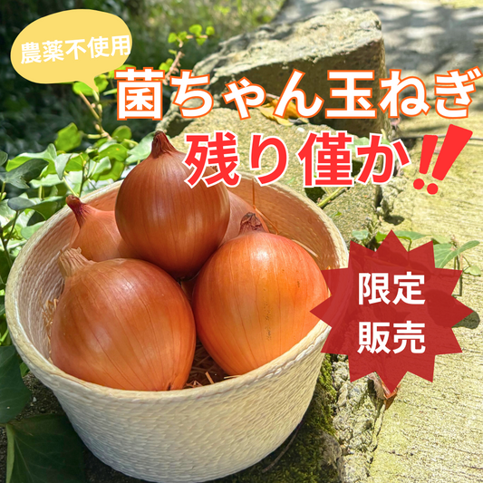 【限定販売】菌ちゃん農法の佐賀県産玉ねぎ　