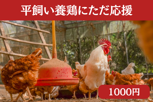 ただただ応援(寄付)