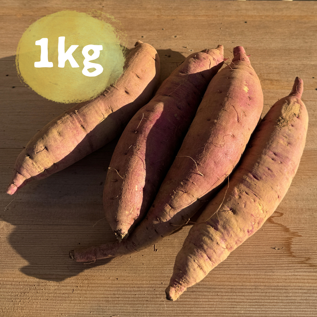 【限定販売】農薬不使用紅はるか