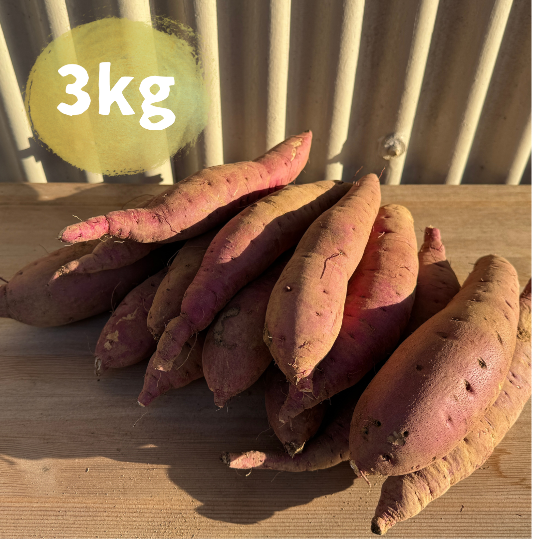 【限定販売】農薬不使用紅はるか