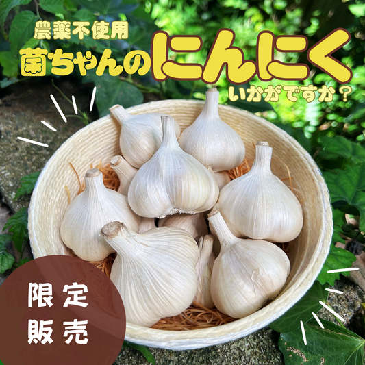 【限定販売】菌ちゃん農法の佐賀県産ニンニク　　