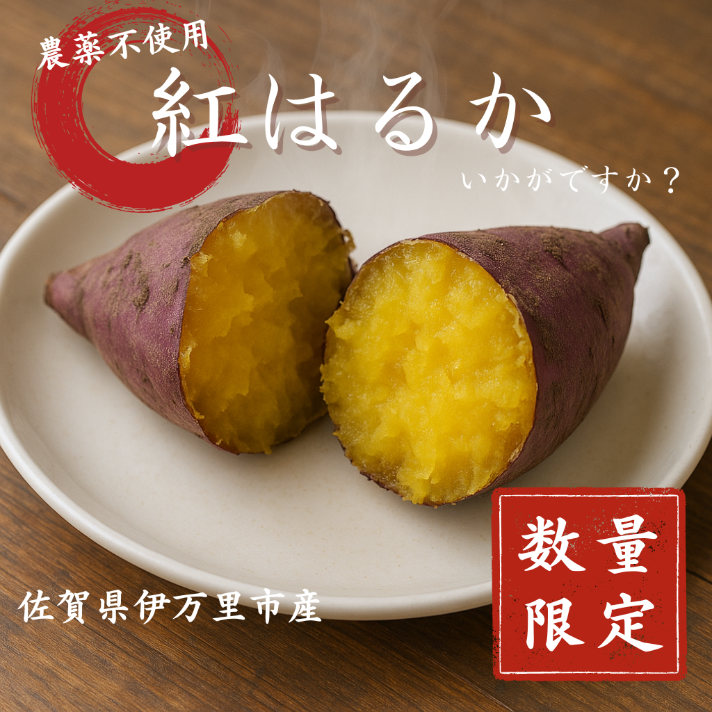 【限定販売】農薬不使用紅はるか
