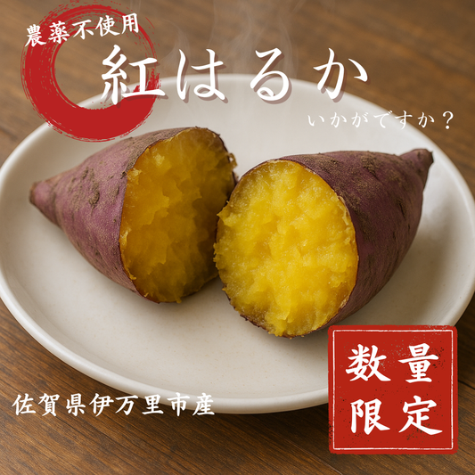 【限定販売】農薬不使用紅はるか