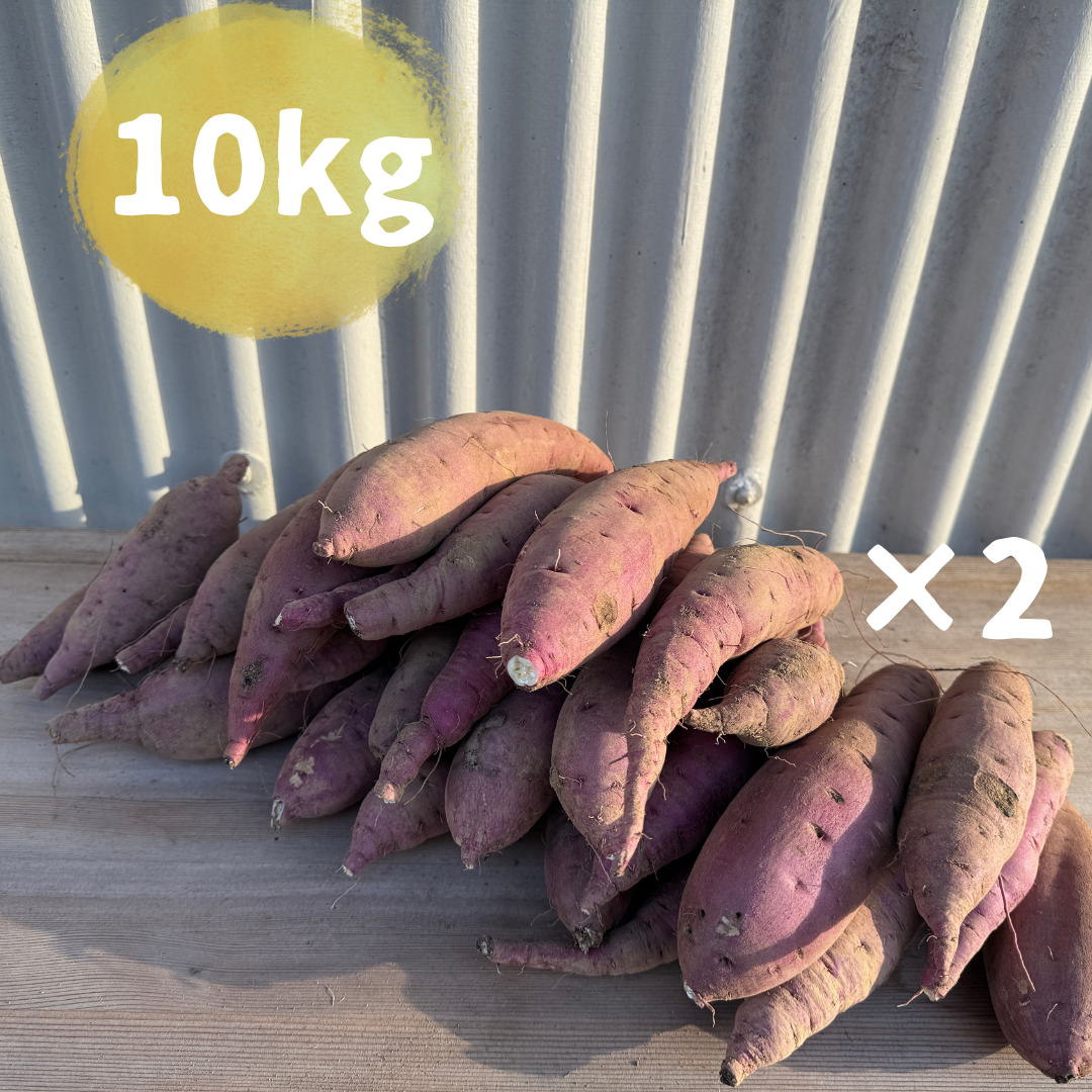 【限定販売】農薬不使用紅はるか