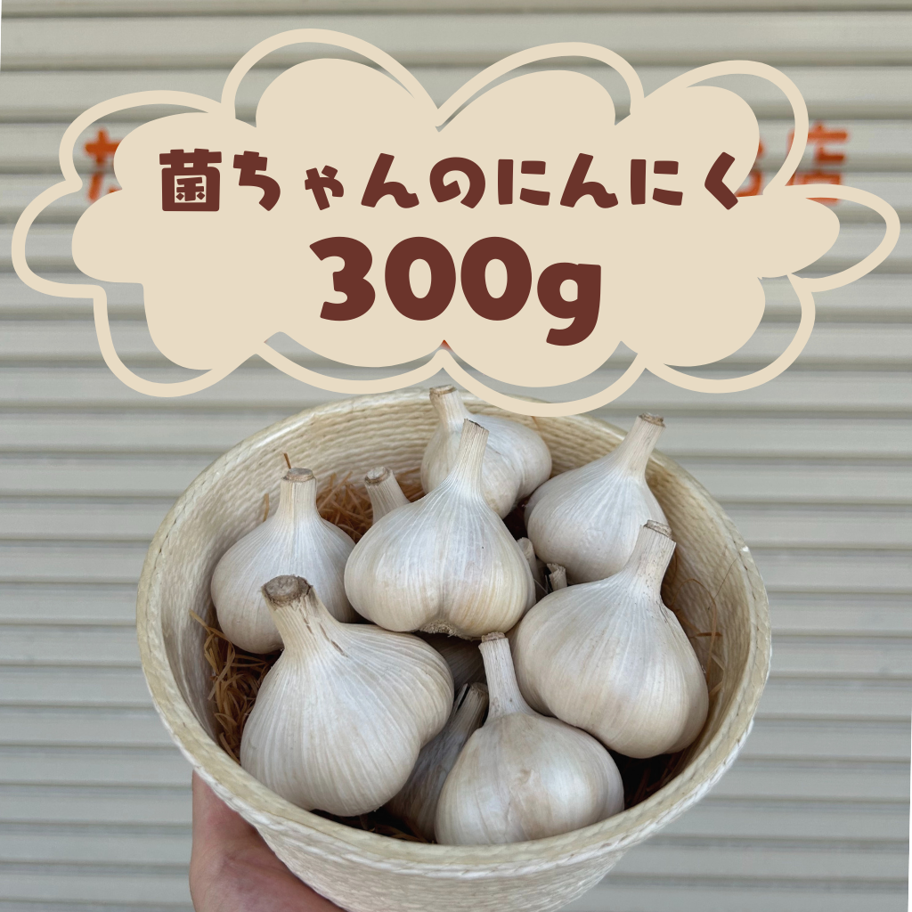 【限定販売】菌ちゃん農法の佐賀県産ニンニク　　