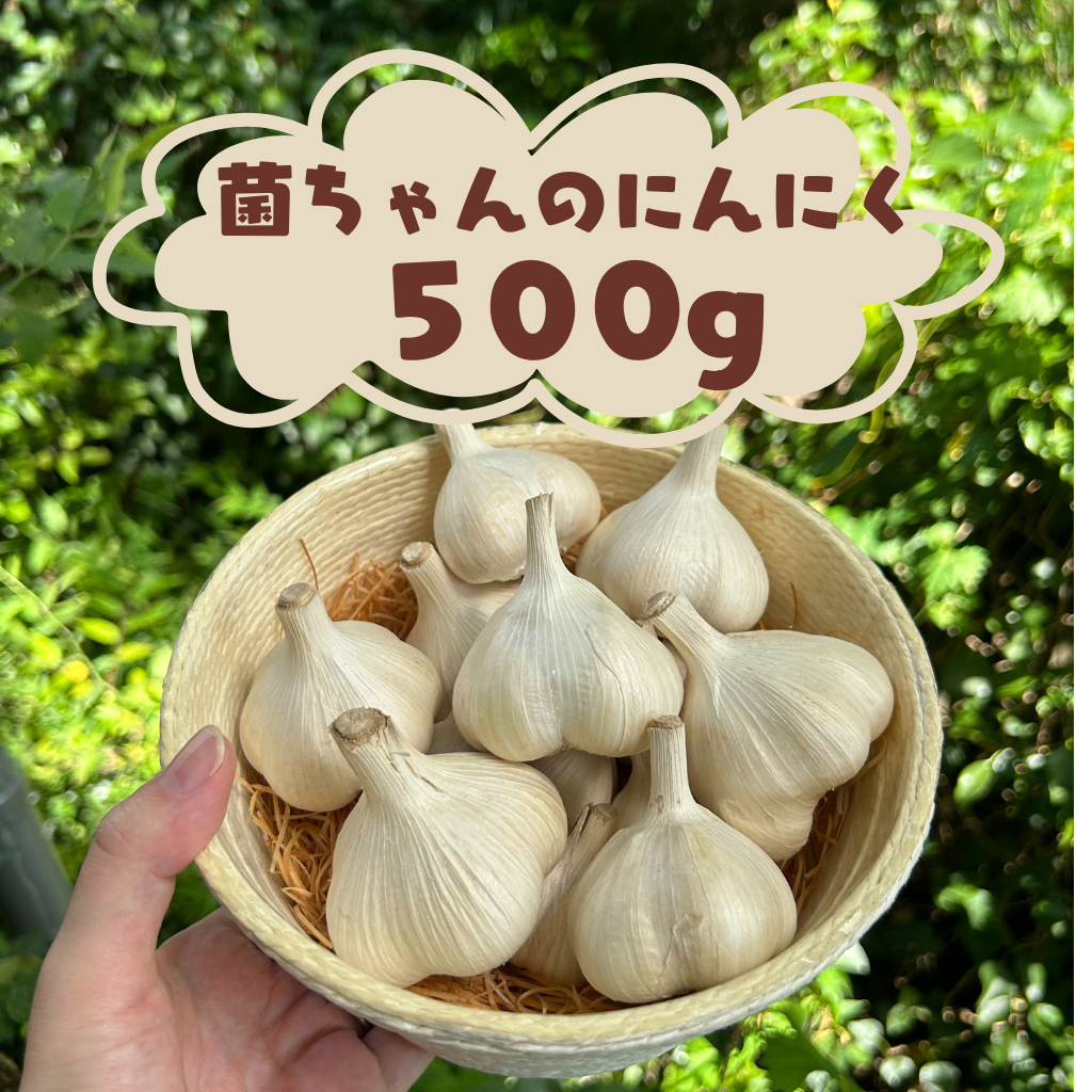 【限定販売】菌ちゃん農法の佐賀県産ニンニク　　