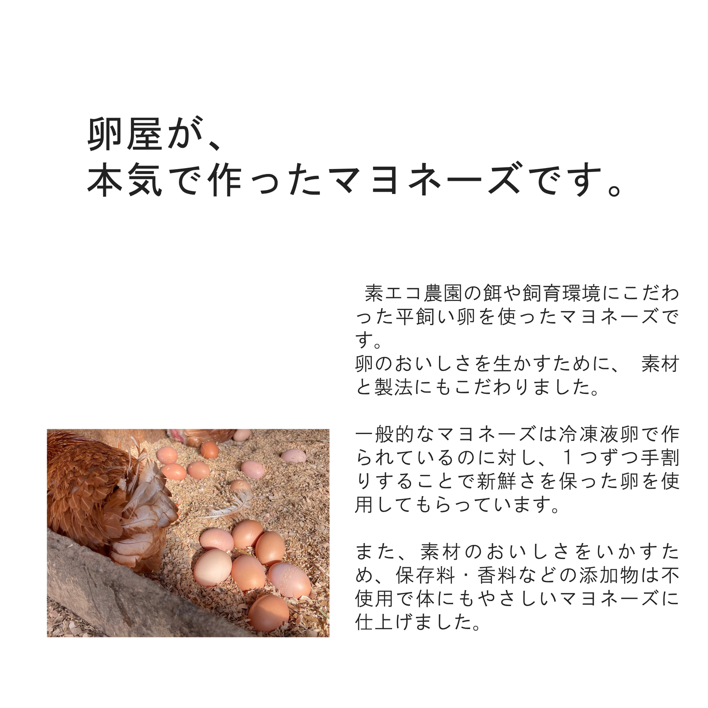 マヨネーズ（単品）- 素マヨ -