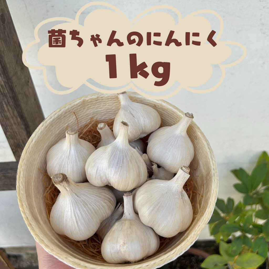 【限定販売】菌ちゃん農法の佐賀県産ニンニク　　