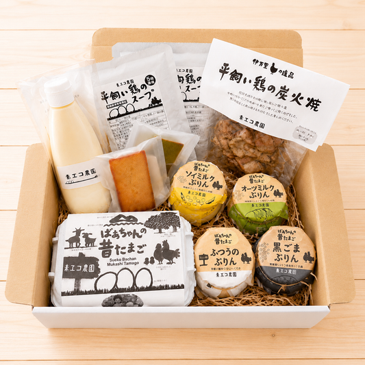 【無くなり次第終了】黒ごまプリン付きスエコセット　　