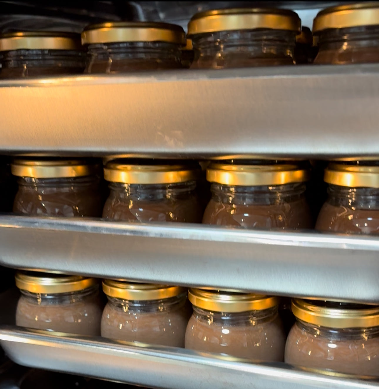 【期間限定】プリン6個セット(チョコ、オーツ、ソイ)　※送料無料