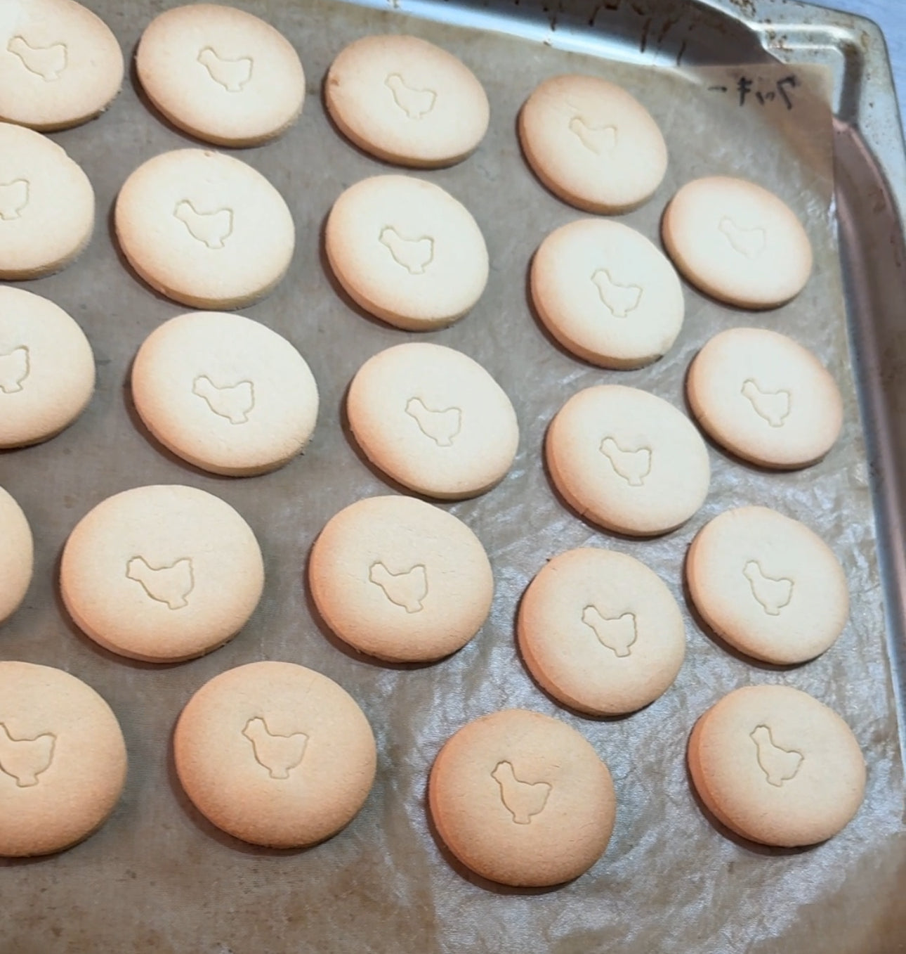 【新商品】卵クッキー