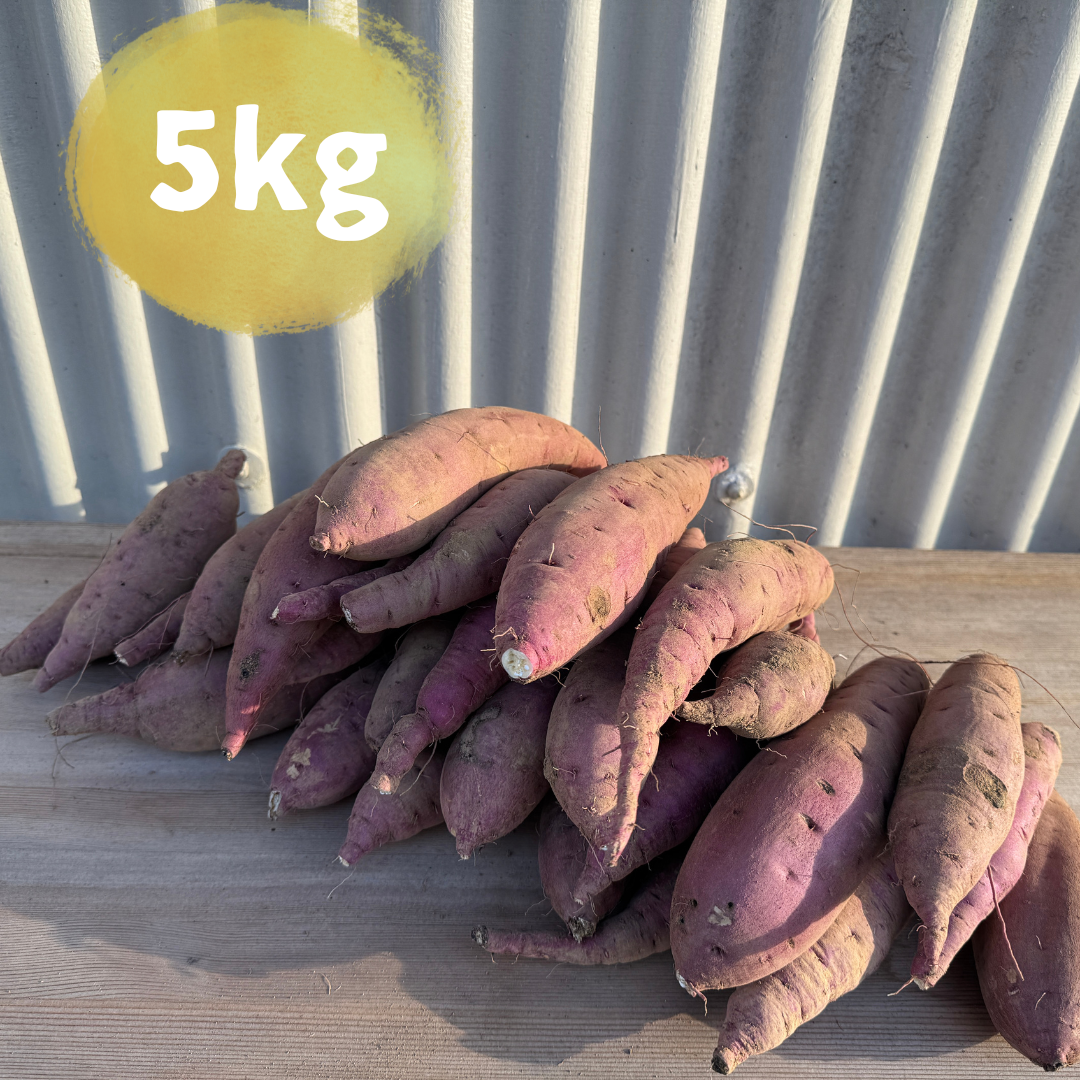 【限定販売】農薬不使用紅はるか