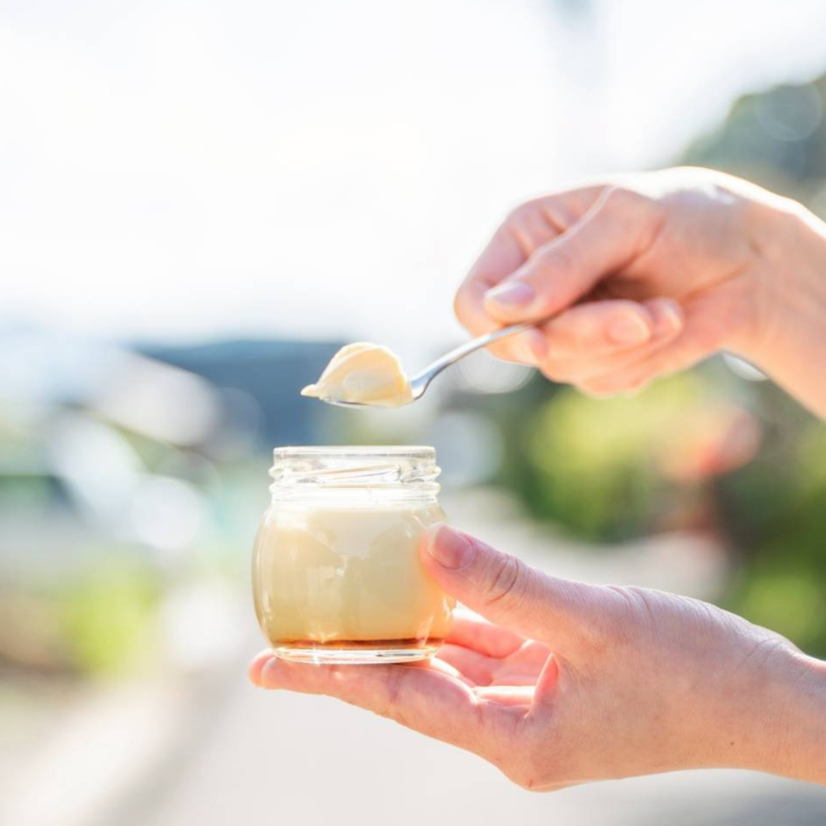 素ヱコ農園 プリンと卵の雫 セット内容