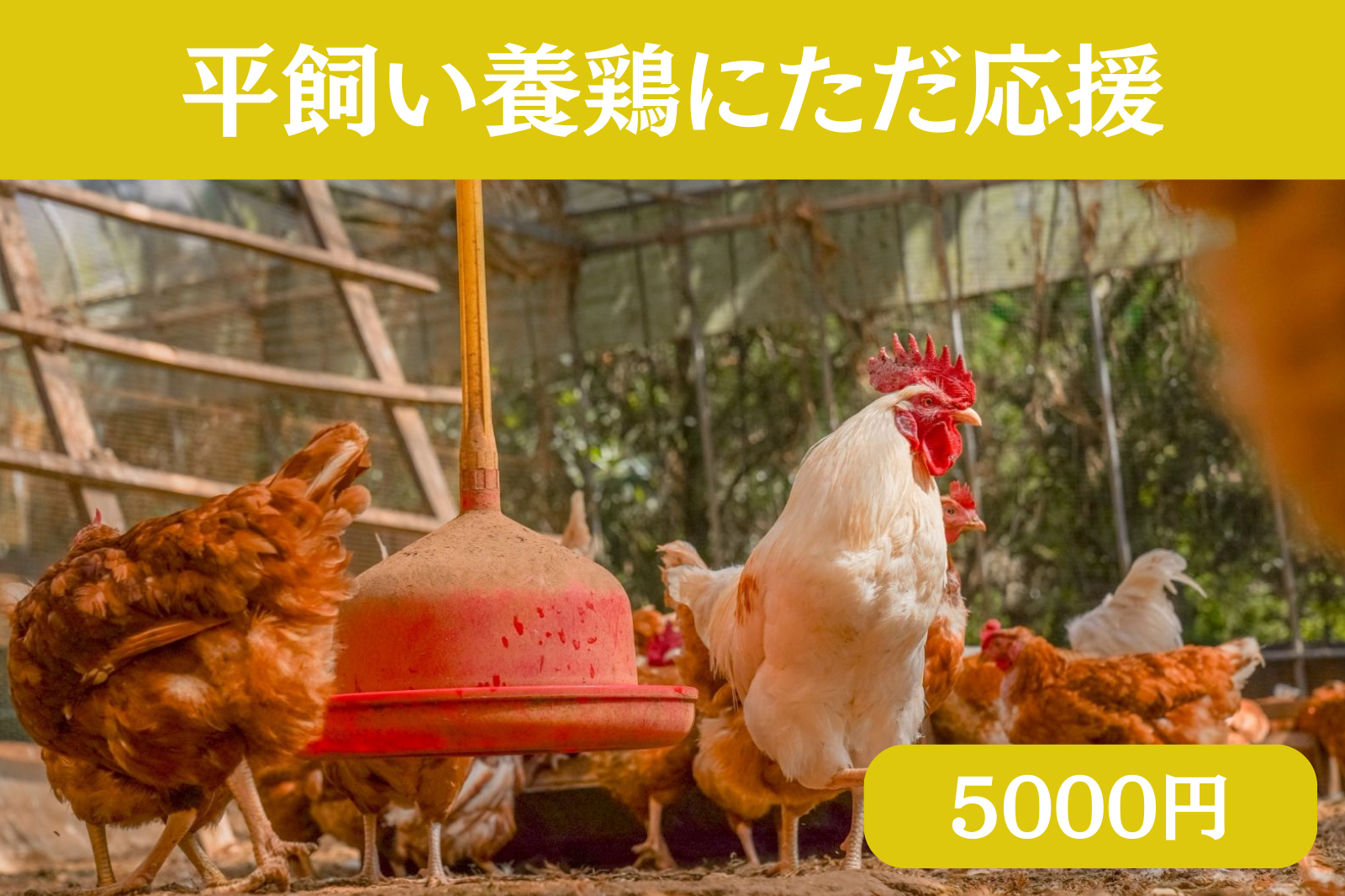 素ヱコ農園 持続可能な農業 商品写真