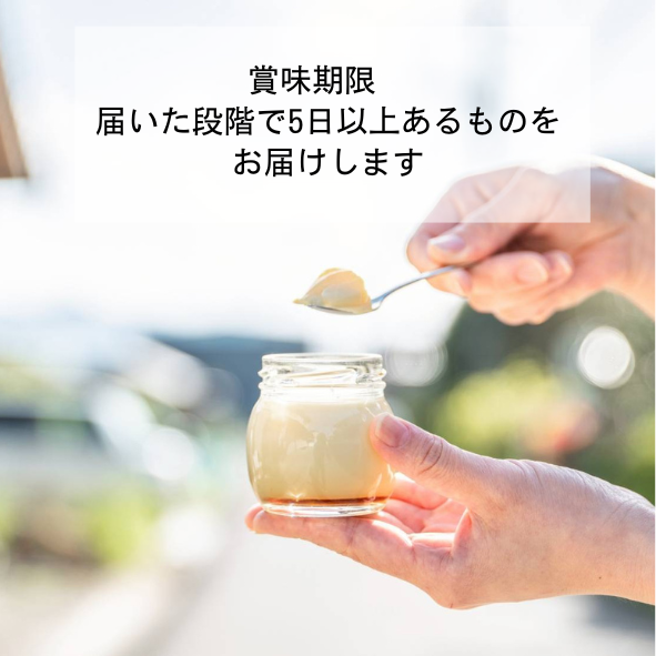 【期間限定】プリン6個セット(チョコ、オーツ、ソイ)　※送料無料