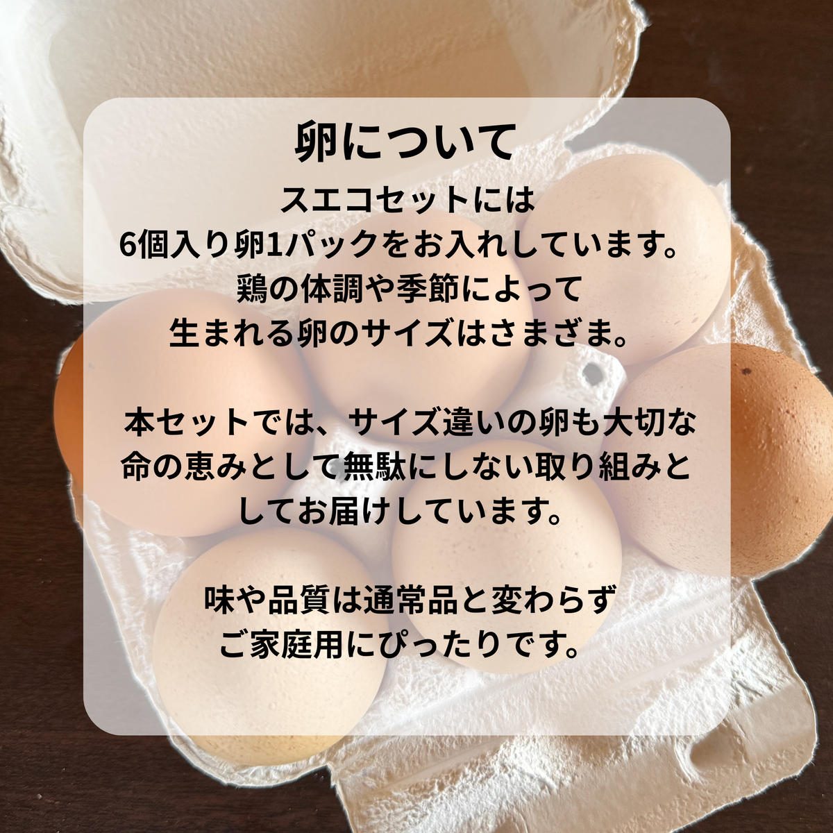 【4周年記念】スエコセット（送料無料）　