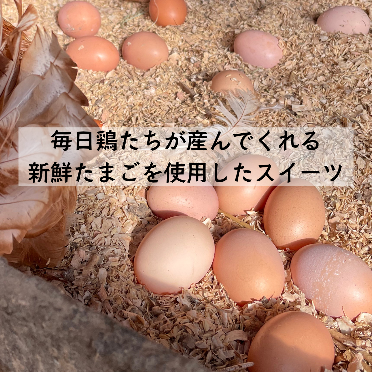 お得】卵の雫10袋と平飼い卵20個セット | 素ヱコ農園